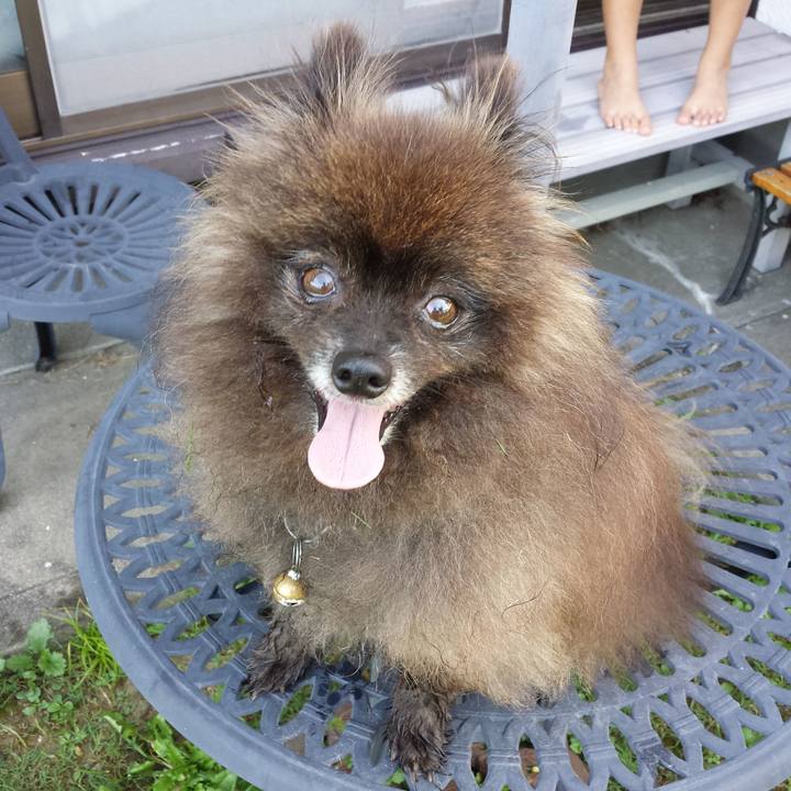 7bdf97ef 8590 4010 97bf 671998e77192 1516830100905