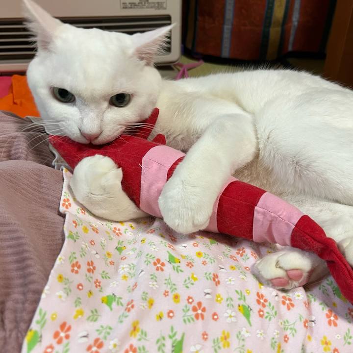 7bdfa3c8 4337 4887 a910 c3b0a9a039e1 1763213926534