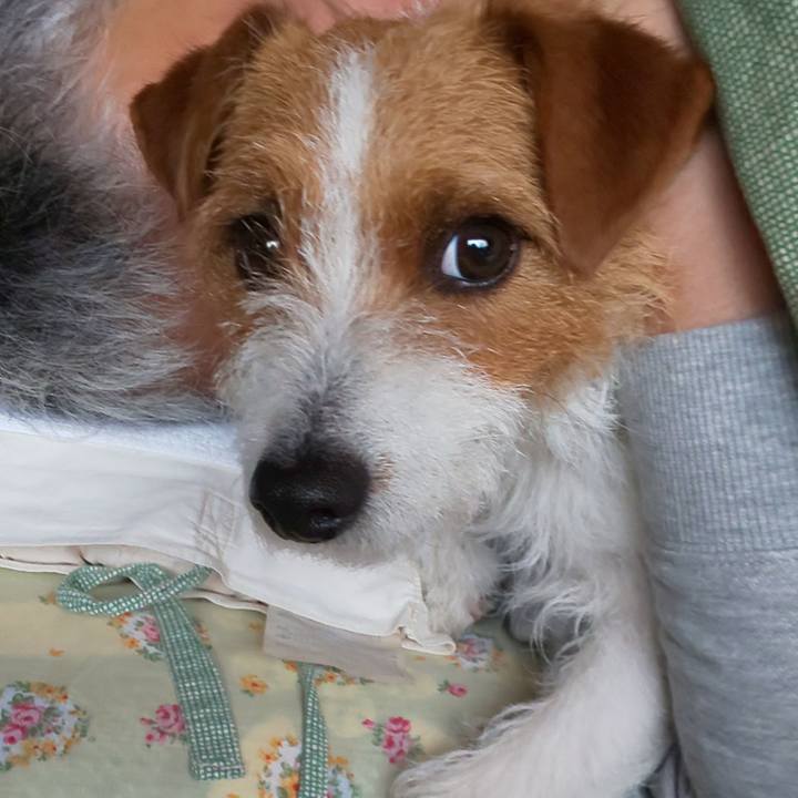 7be0103c 27a3 43b1 b277 bdec2d1a83f0 1556494840372