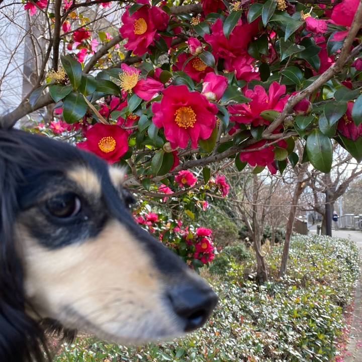 7be02b63 fd1b 495f a414 d415c4f2677b 1737785442340