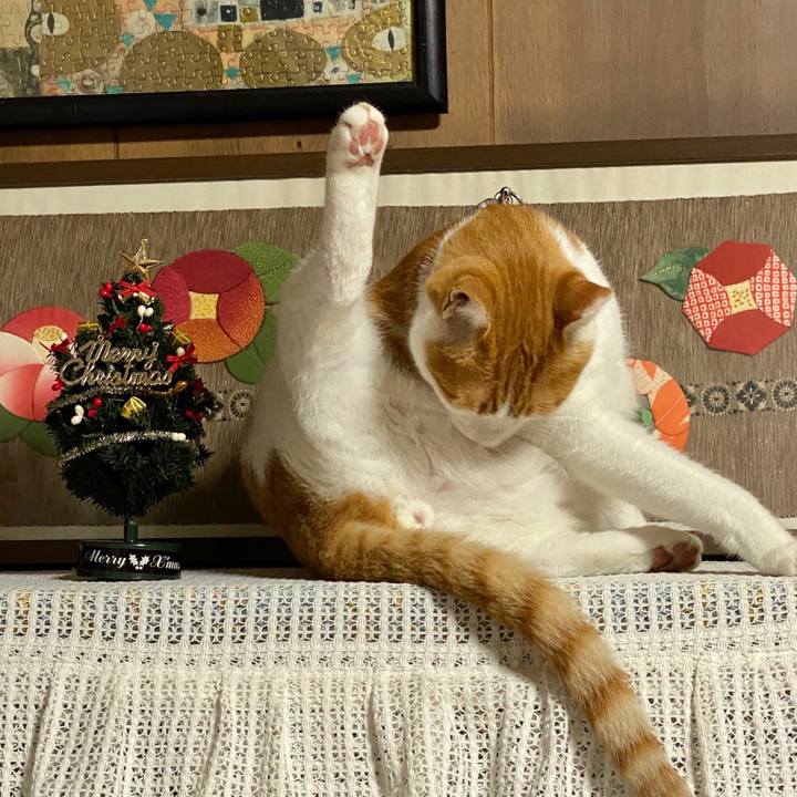 7be02ccc 78e8 4dc7 b314 7f3c6569ba0d 1577163829476