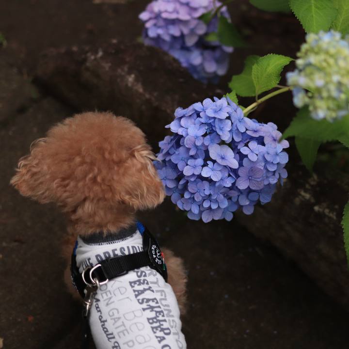 7be0360d d701 41e6 909c 9a7dfbb9c8bc 1665153418123