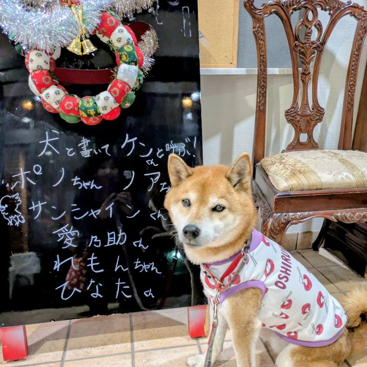 7be04fdd 02dc 45bb 860d 0064695bcd64 1766118728070