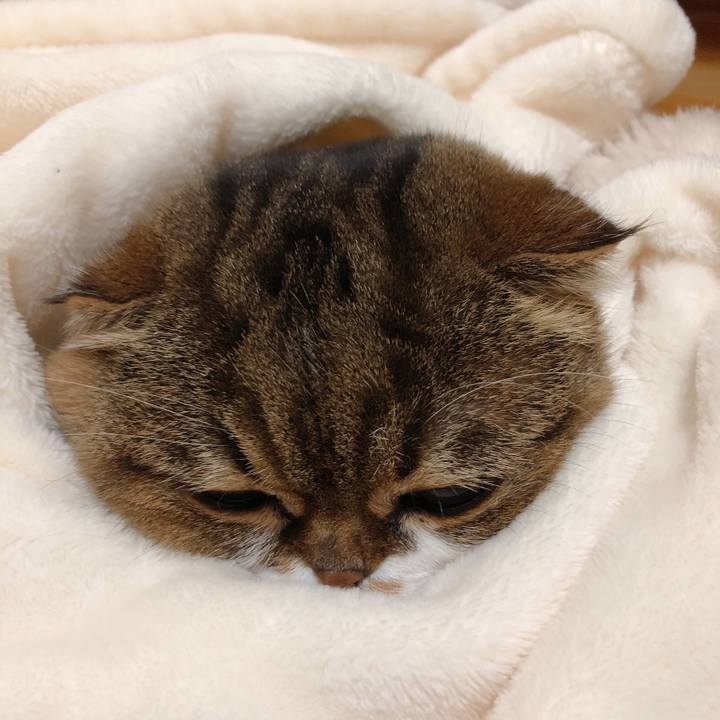 7be05f5a 5d06 44b4 9cb6 ab92c9869605 1549693953298