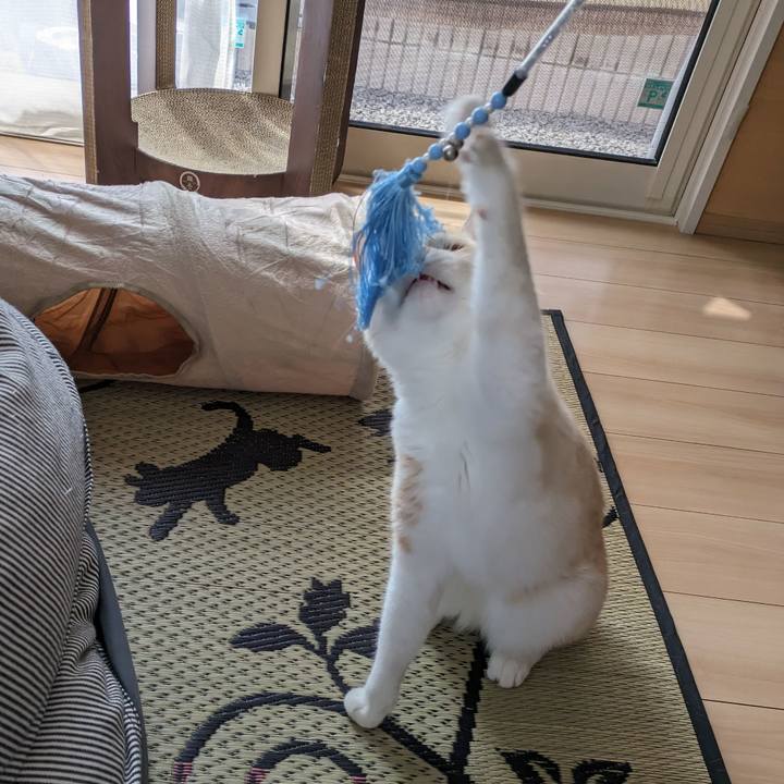 7be065a3 d43c 42c2 81f4 2733c23885ed 1692232958440