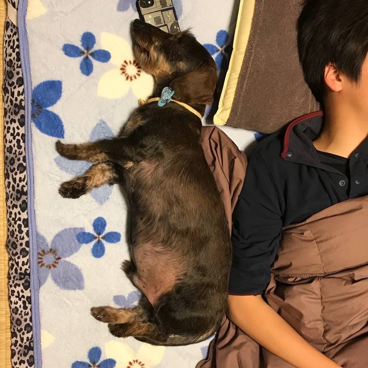 7be0728a 1d72 4303 96ae 5d6c75a9d53c 1526487001862