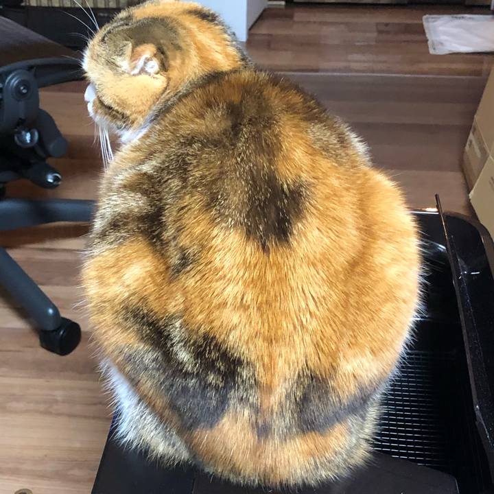 7be09b6c 36d3 4b9e 993c 549c49f157f8 1613209034097