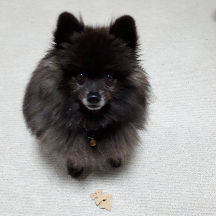 7be0a02a baf1 4a0f 9413 b85984fcaf8a 1522012945526