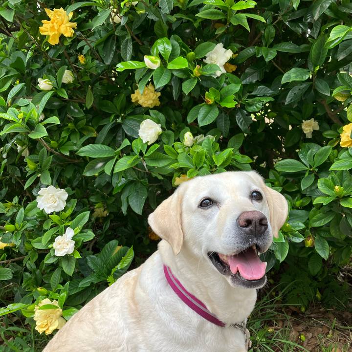 7be0d830 6e10 4cb7 b5b3 eb074110a1d1 1689373703110