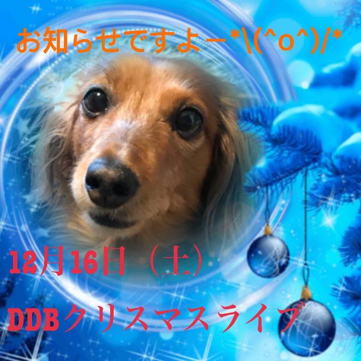 7be0f16e 24b2 4bcb 9065 81d2895efe67 1512116041944