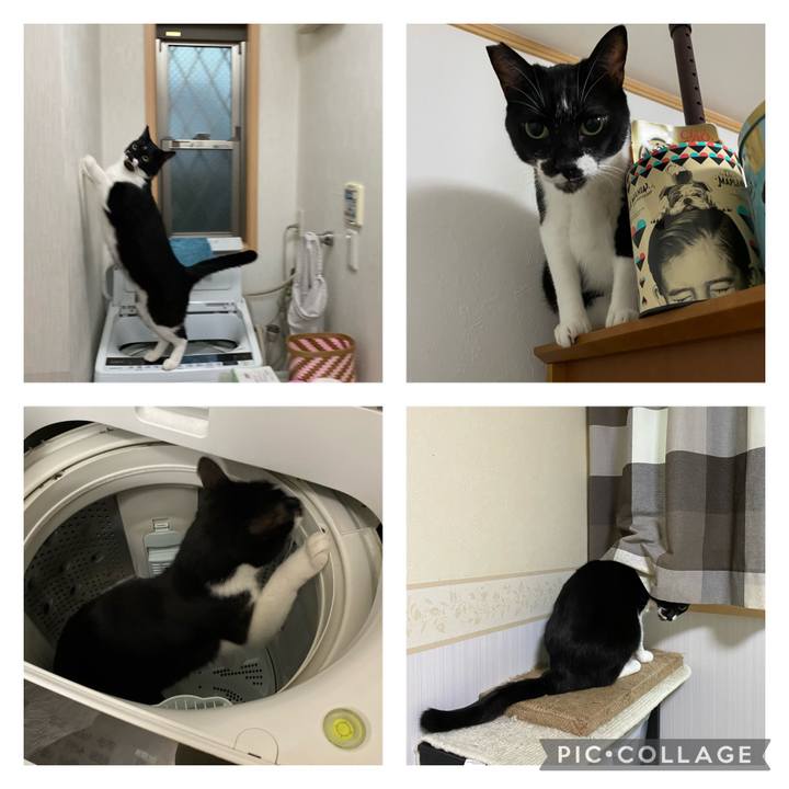 7be11029 6521 4a20 9412 b0bf752868ba 1694210135976