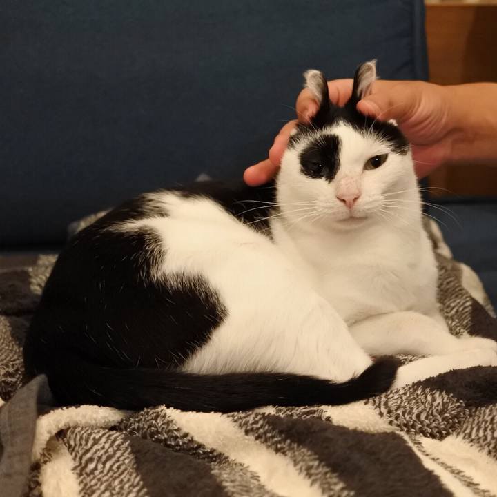 7be130a9 a87a 4caa be93 eb3c7ec2b529 1540827314949