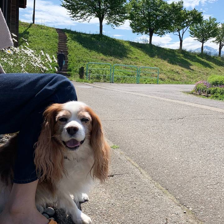 7be13ab7 ab1b 47e3 a472 04d9d5c8ff79 1620877225160