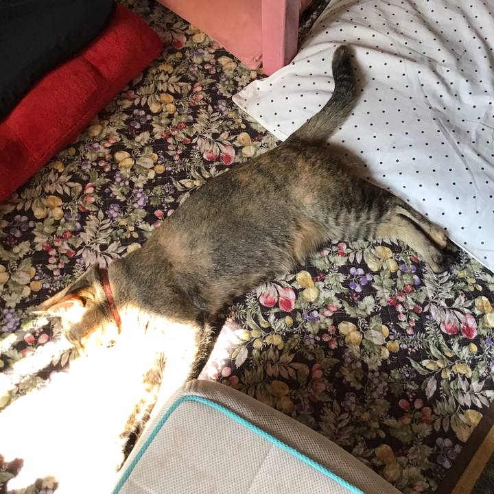 7be14073 cdde 4ea4 8dc9 48aa546e0cd9 1596336920253