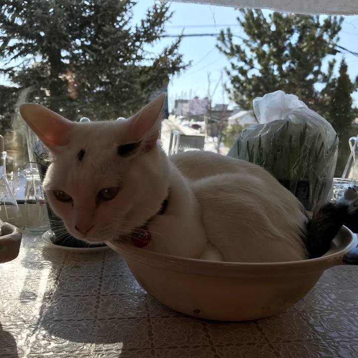 7be14274 8793 44ce 806d 1fca64ea94a7 1521330314551