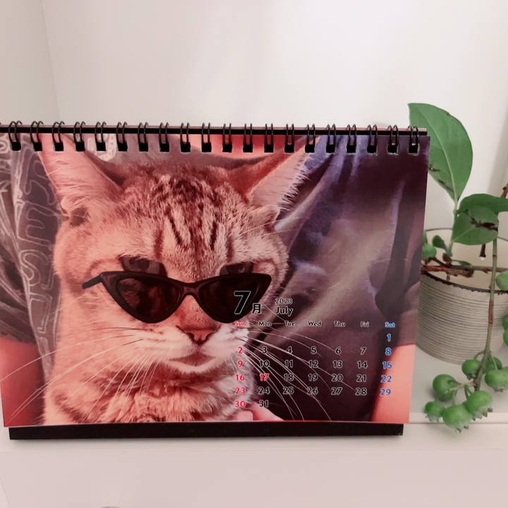 7be1602c 97c7 412c a861 8518cbbf3a25 1688215204037