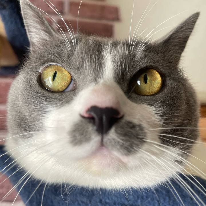 7be19867 1301 40bd bd66 9b6434587962 1737503577608