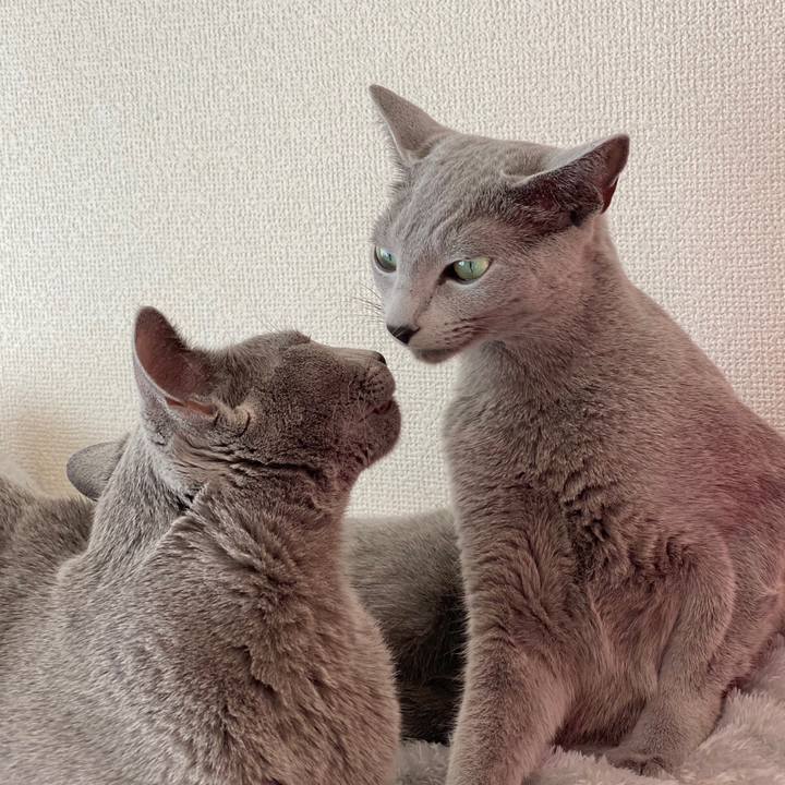 7be1b173 4a94 4bb5 b0a6 14e6afecda87 1640670113149