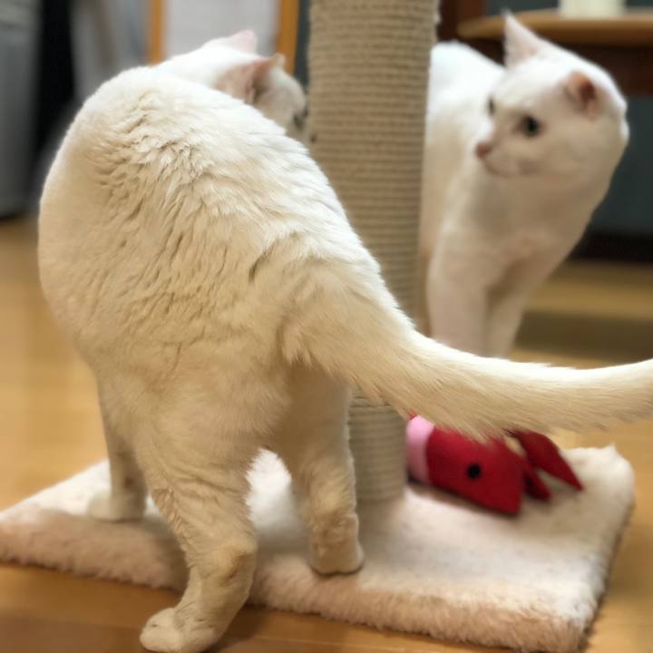 7be1be55 7757 48b4 9bdd 2b078a375a42 1533048050109