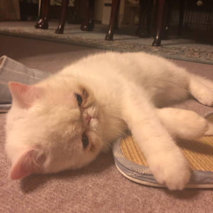 7be1e17d 7e58 4d5a a5b6 c86feb3c755b 1556029400148