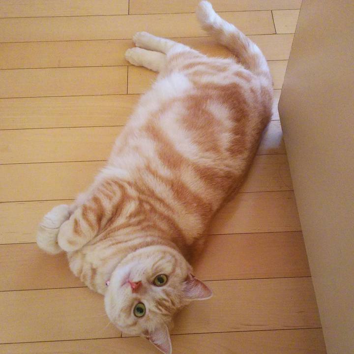 7be1e1ed 1962 453d ba9f 3d26cd36255d 1520238332913