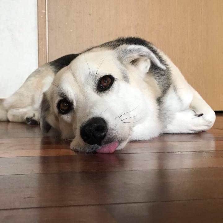 7be20a95 facd 40d7 a7df 3ee58c594e3b 1556093154145