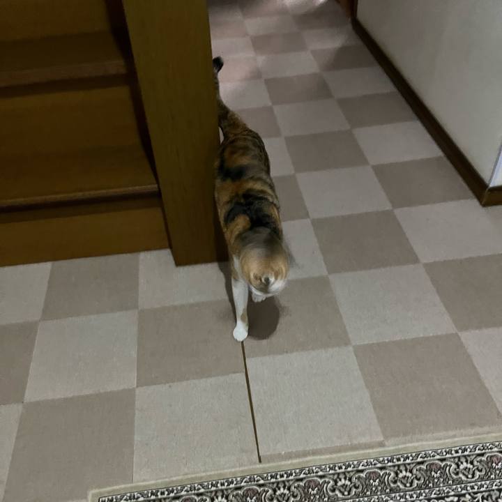 7be20e17 af87 418f 89a8 af0870389c5f 1719958195172