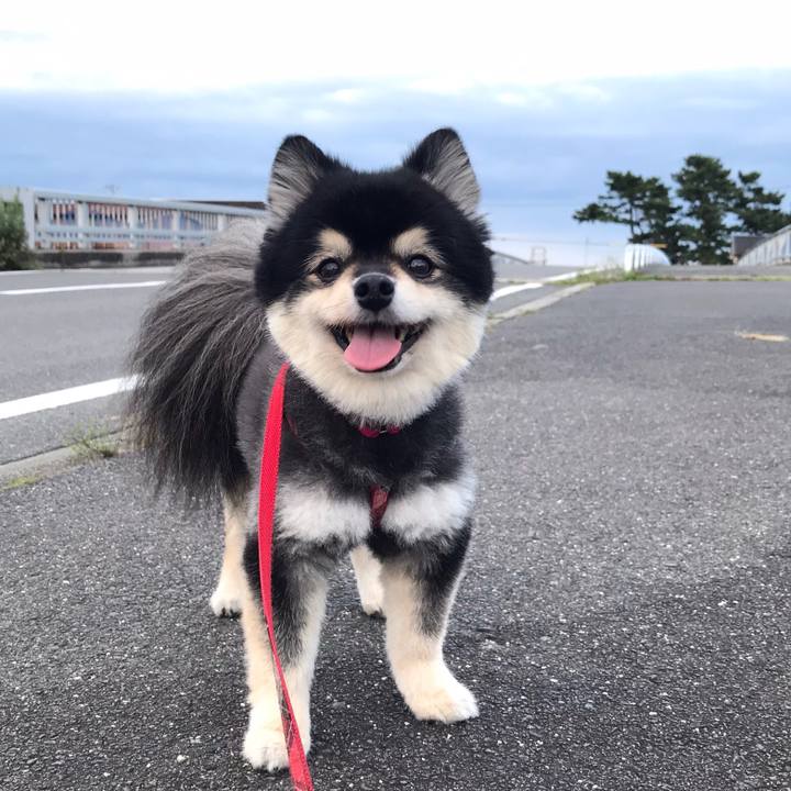 7be23fed 5519 467e 9801 ab2286414cc9 1593688655889