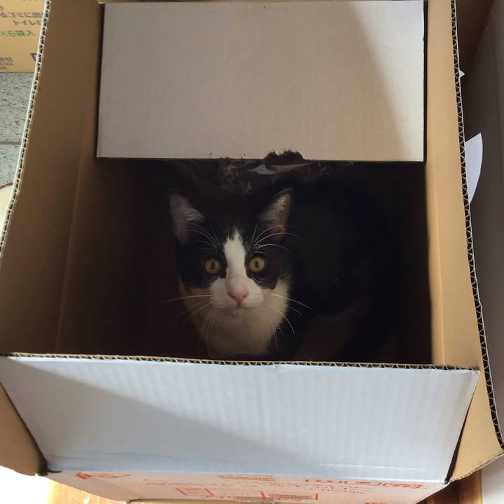 7be24897 26d3 4546 a3f9 8abb3a603acc 1635308376050