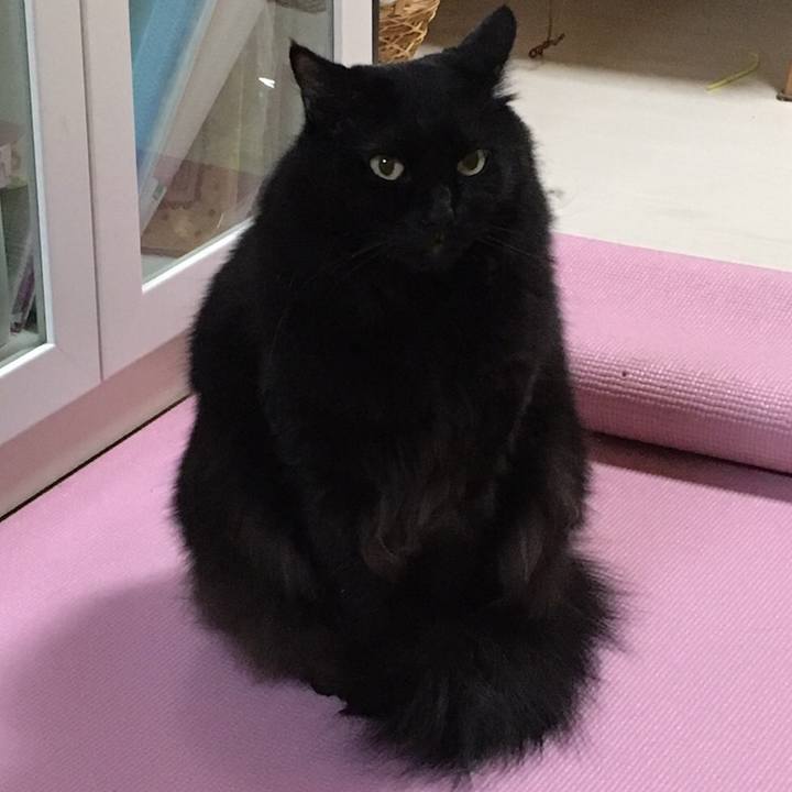 7be27beb c0a5 4651 b764 f77f04fd9dae 1508414066922