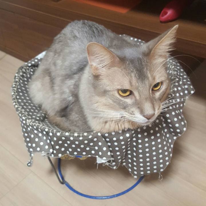 7be2dab0 8156 41eb 9cc2 f8c14baa1969 1543929634082