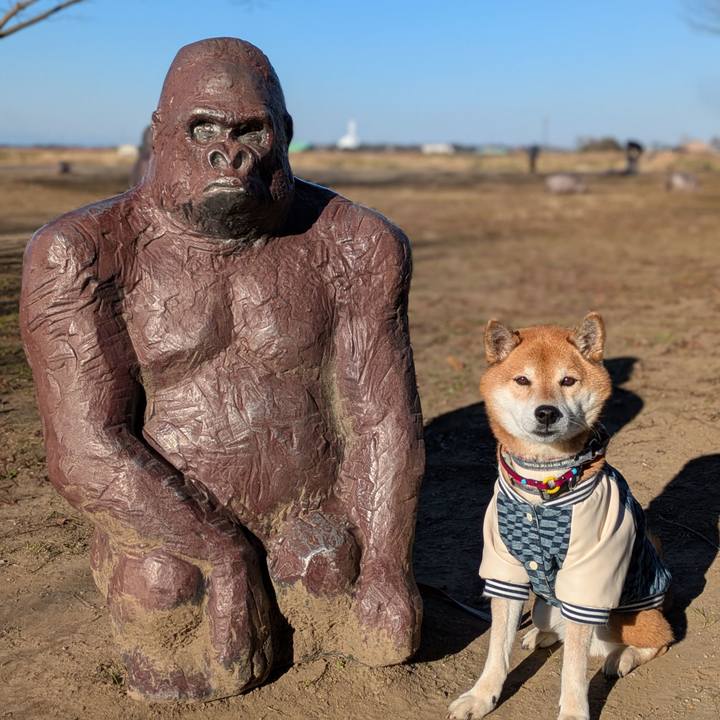 7be2f7cc 68cd 4cf6 a636 99869b18e3f6 1737215381141