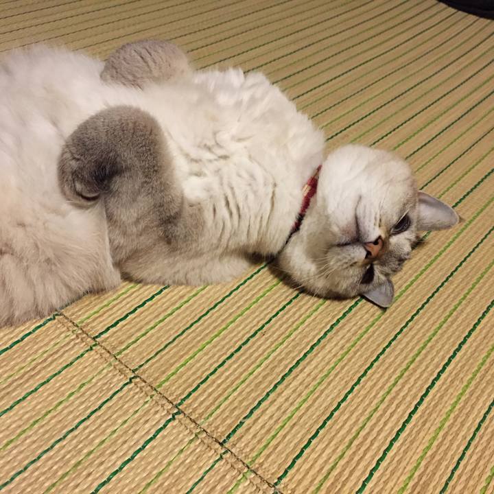 7be30ed6 29bd 4157 b273 b2b15c9b735b 1539180493846