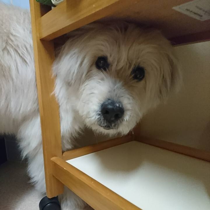 7be31d43 3987 4d4f a63a 460b74248d7b 1580297252709