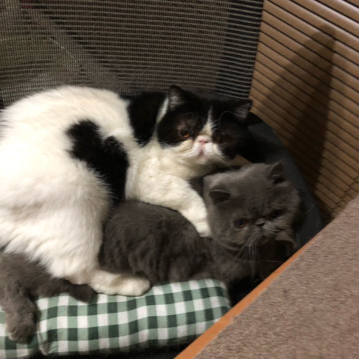 7be32ae2 9207 423d 9495 4294c6b9494d 1542894840408