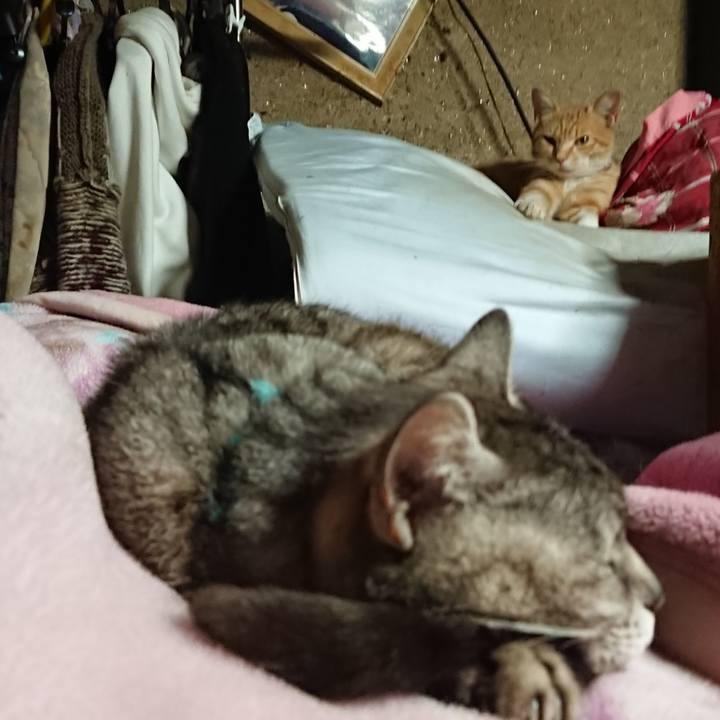 7be32e71 3757 4073 a135 b1a1b9c30bd3 1560514336540