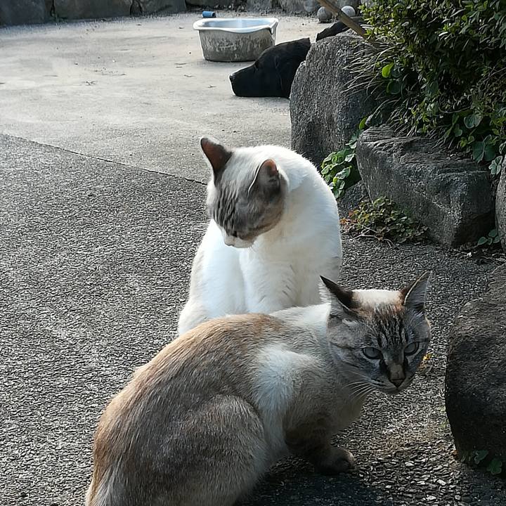 7be34652 87aa 4803 8bd9 dcde615dc2f9 1540703169765