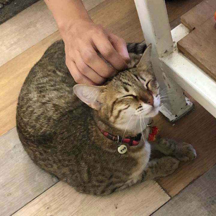 7be34661 0cf1 4838 95a4 c47cd15b099f 1601115207791