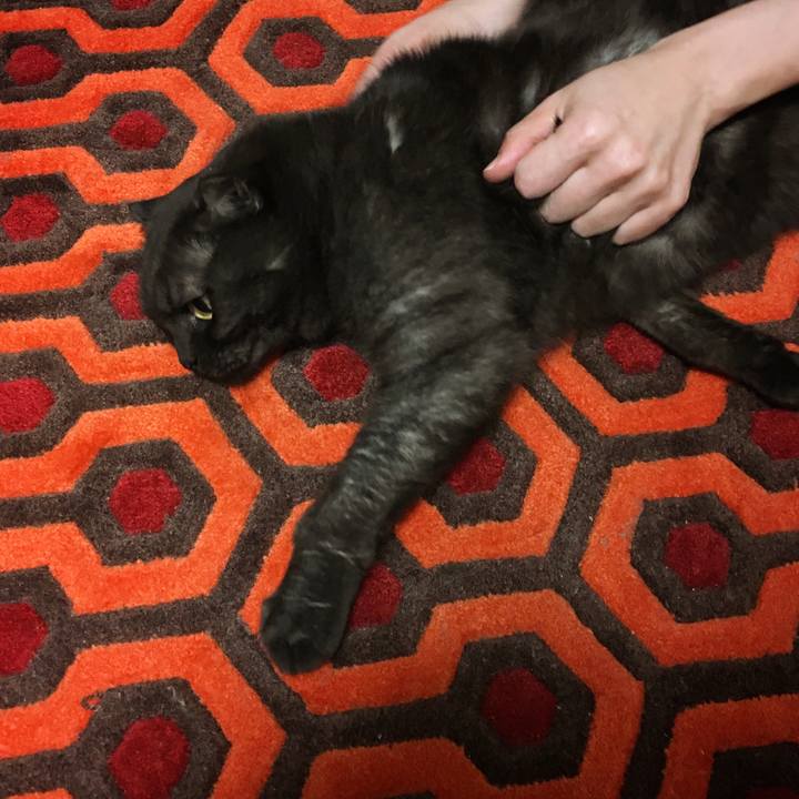 7be350cd 20b5 4fcb 8d96 9abed993bba8 1543977279008