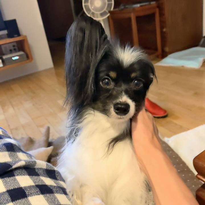 7be38708 0e84 44a9 a595 f622d90a5ffe 1590497484606