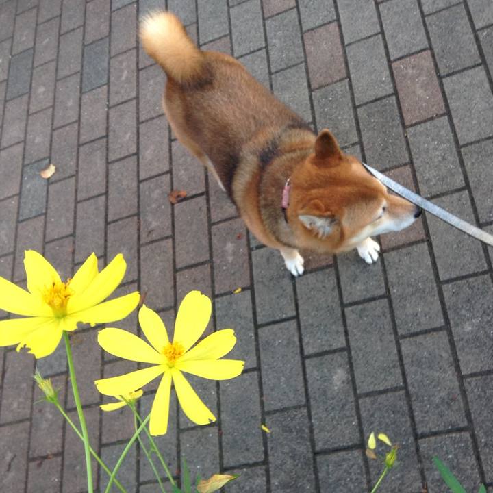 7be38b85 e8ee 4ab9 bab8 7be05bb4b1fa 1537604745163