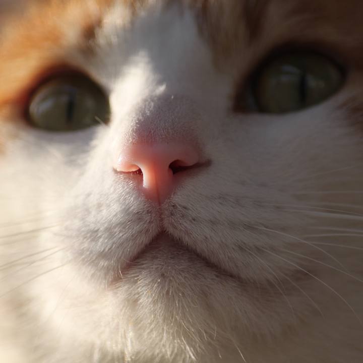 7be3b5f3 db62 42e4 84f4 9555fe4ca92b 1518774858221