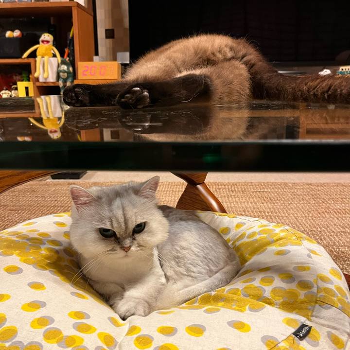 7be3c6bc e85d 4f6f b8d3 3564f843d97f 1692097966733