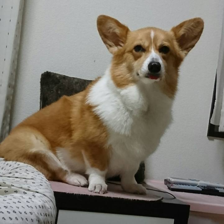 7be3d8cf 844e 4a0a aad1 eed92fe1cdf6 1531646571868