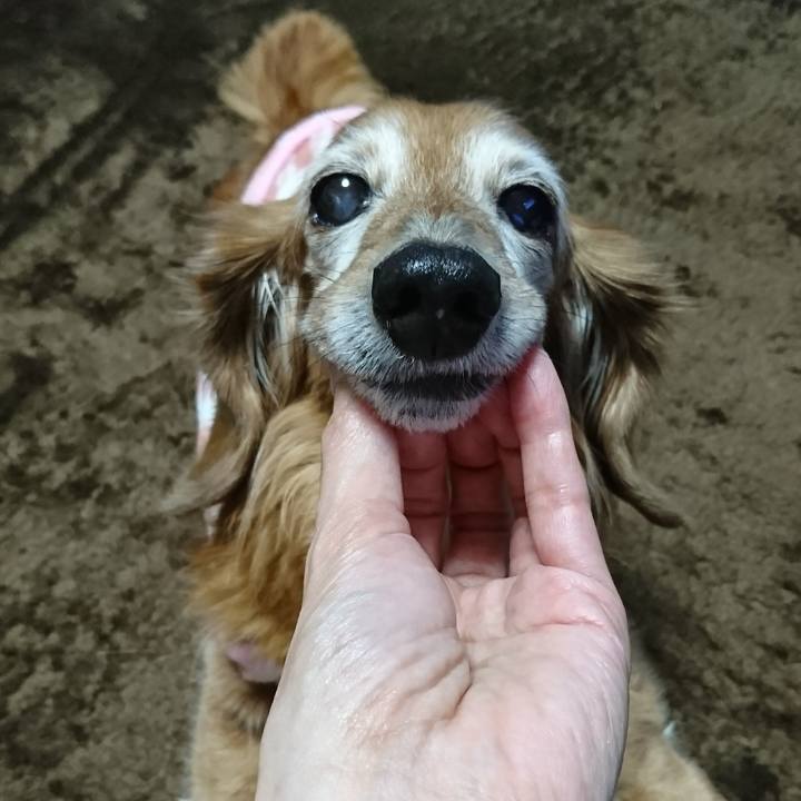 7be3efe4 a795 4dc2 9d84 0559f79428ab 1514713556917