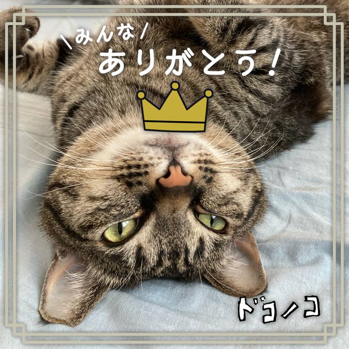 7be3f9bd 1766 4d27 8fab be5e160e3ff0 1622854286437