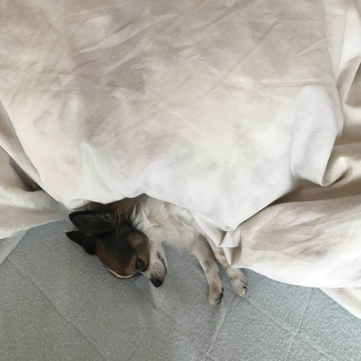 7be3f9da a051 49b9 9ec0 297296c586d6 1509065327305