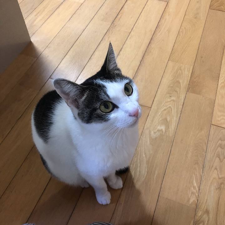 7be40772 763c 42e5 965d 279208ec6f4f 1678362044089