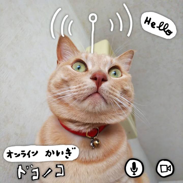 7be423b7 44b5 4053 8941 04c1af2ccab4 1591437073761