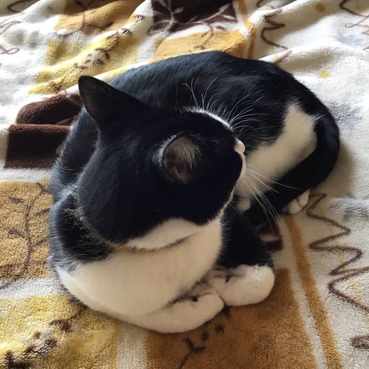 7be45823 3abb 4d34 a4d8 3c0cf5ed3743 1652604440445